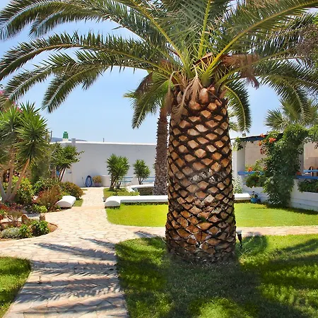 Skarmoutsos Plage d'Aliko