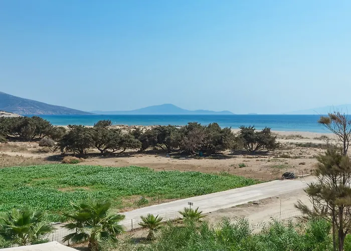 Skarmoutsos 招待所 3*