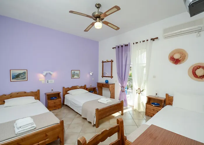 招待所 Skarmoutsos 阿里克海滩